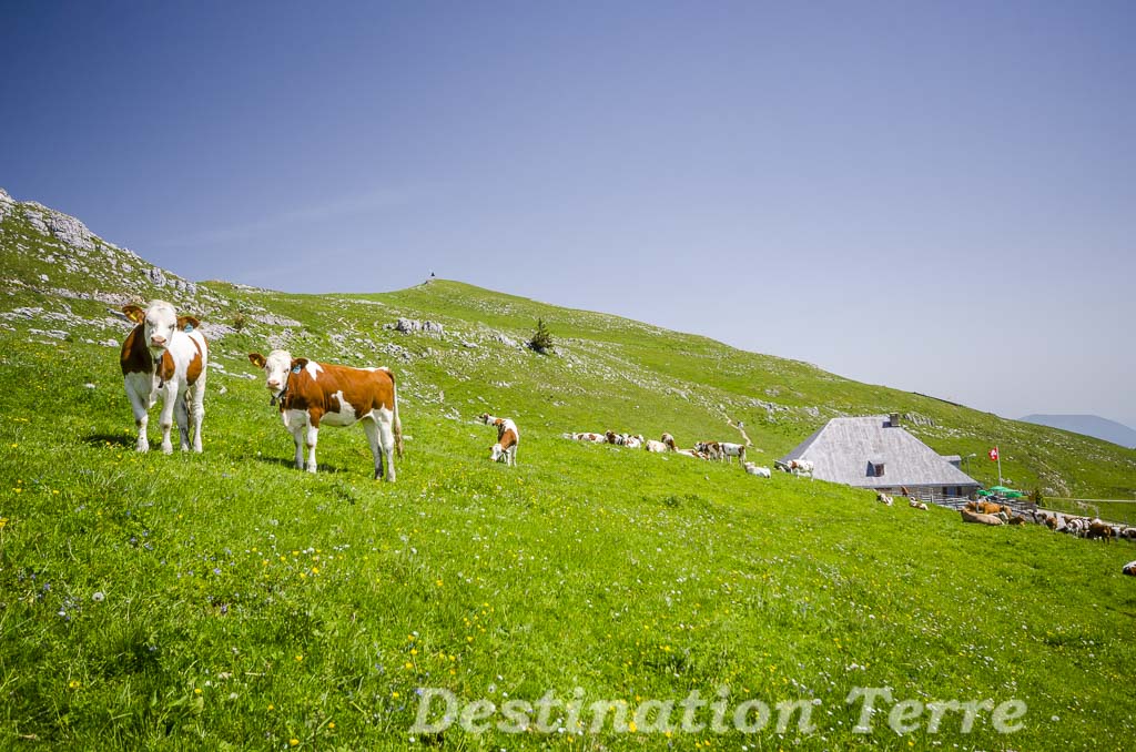 Le Suchet, un sommet du Jura Vaudois, Suisse.